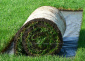 Rośliny ogrodowe  trawa z rolki - Urzut ABEX - Trawa Rolowana