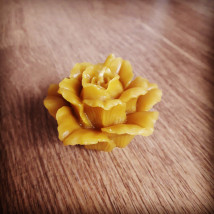 Pąsowa róża mała - A Bella Ada Janiewska Wola Korzeniowa