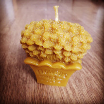 Lawenda - A Bella Ada Janiewska Wola Korzeniowa