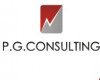 PG CONSULTING