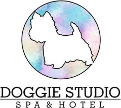 Zabiegi pielęgnacyjne dla psów oraz psi hotel - Doggie Studio - SPA & HOTEL Chełmno