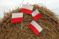 Skórzewo Chorągiewki, flagi reklamowe - Tanar