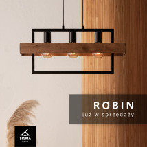 ROBIN - SERFAREN Dołuje