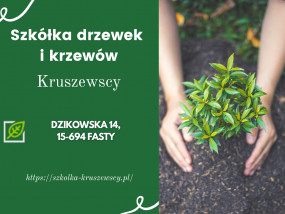 Iglaki - Kruszewscy - Szkółka Drzew i Krzewów Ozdobnych i Bylin   Szkółka Fasty Białystok Fasty