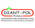 Diant-Pol Polska Ogrodnictwo Produkcyjne
