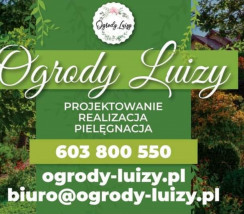 Projektowanie i wykonywanie ogrodow - Ogrody Luizy Krystian Porzuczek Nowy Dwór Gdański